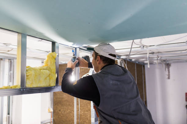 Best Insulation Installation Services in Killen, AL